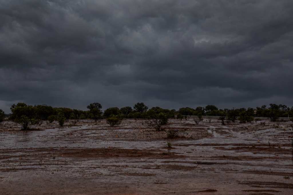 Rain Stopped Play Soaked goldfield near Leonora, red ground turned to mud and standing water after heavy rain