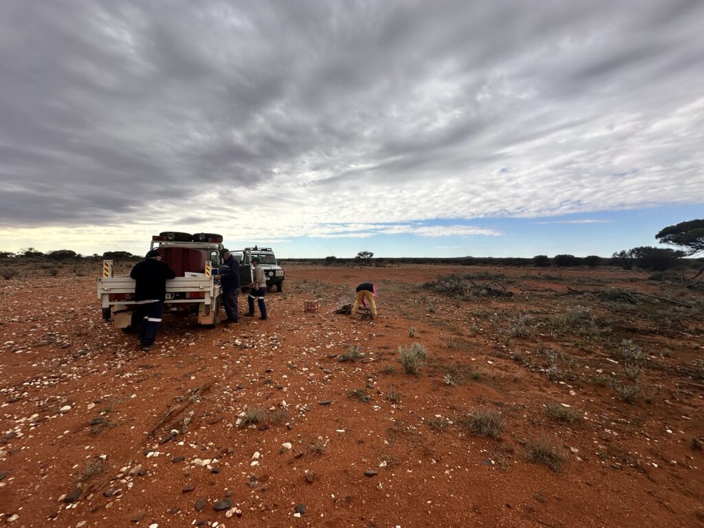 Group beside a flatbed ute on red dirt under a cloudy goldfields sky while a campfire is lit