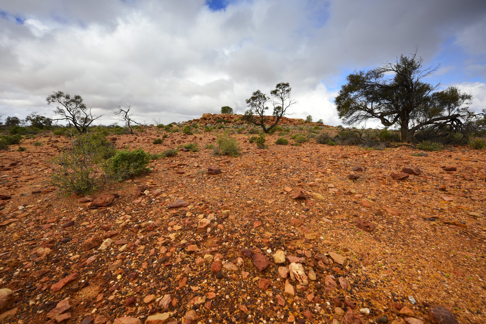 Wet red gravel and ironstone in the foreground, scattered trees and cloud behind.