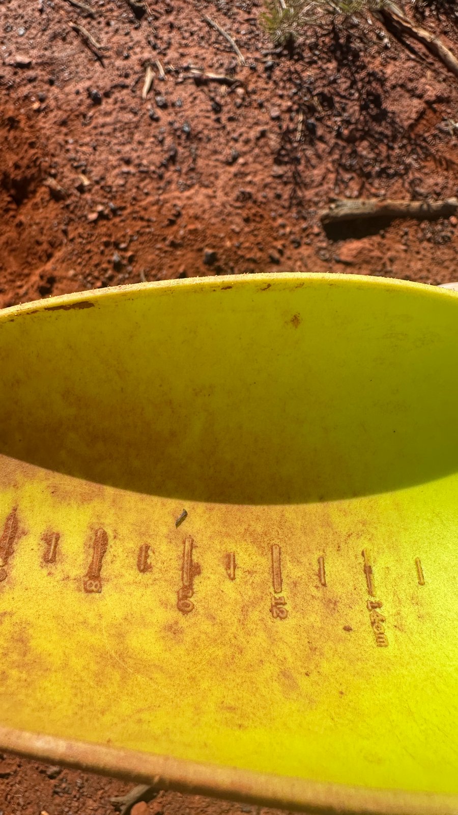 A yellow detecting scoop with a centimetre scale held over freshly dug red dirt, a tiny dark fragment in the scoop.