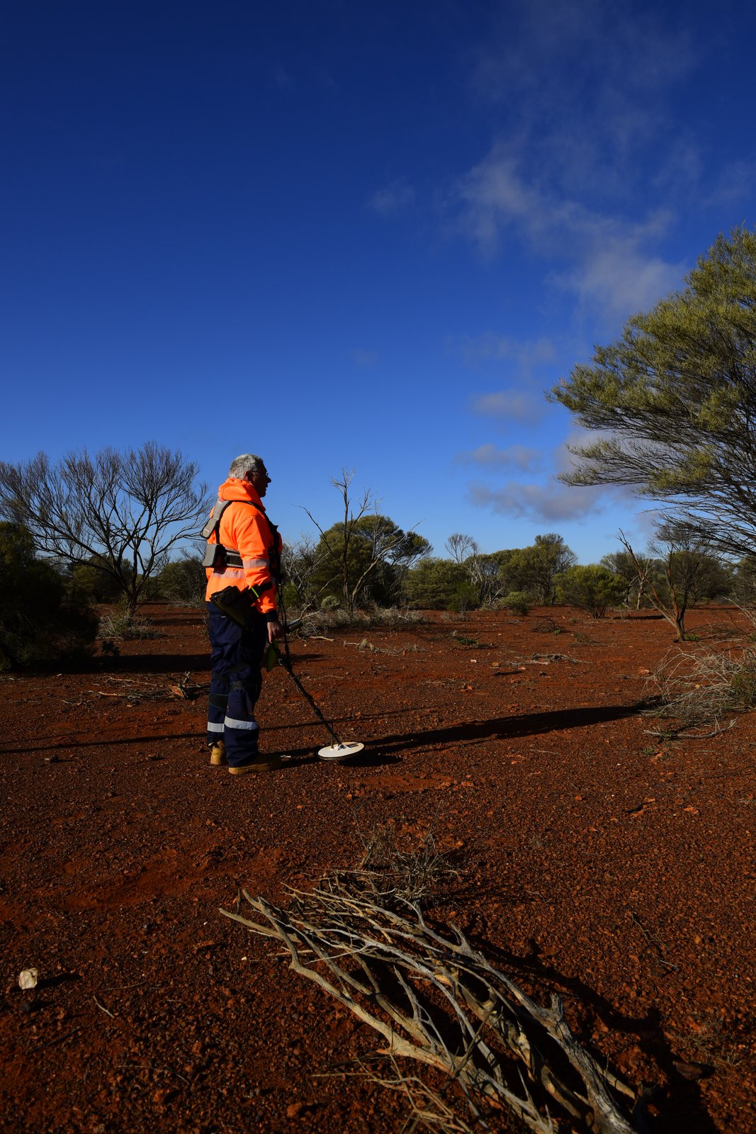 Rob in hi-vis swinging a metal detector over red ground, with trees and a deep blue sky behind.