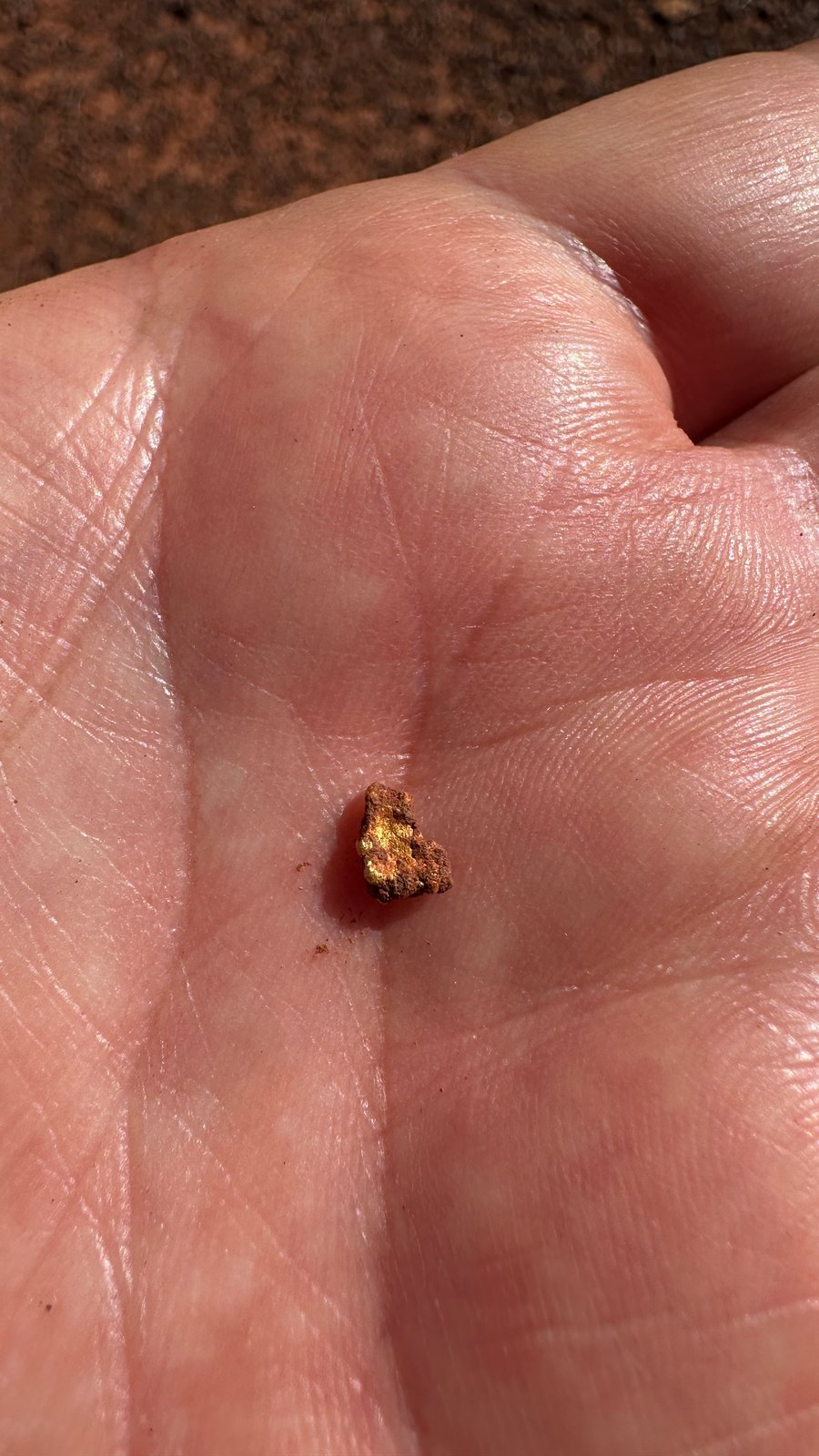 A small gold nugget with a reddish ironstone crust and a bright gold face, sitting in the palm of a hand.