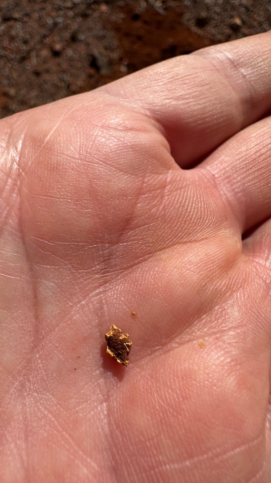 A small gold nugget resting in the palm of a hand.