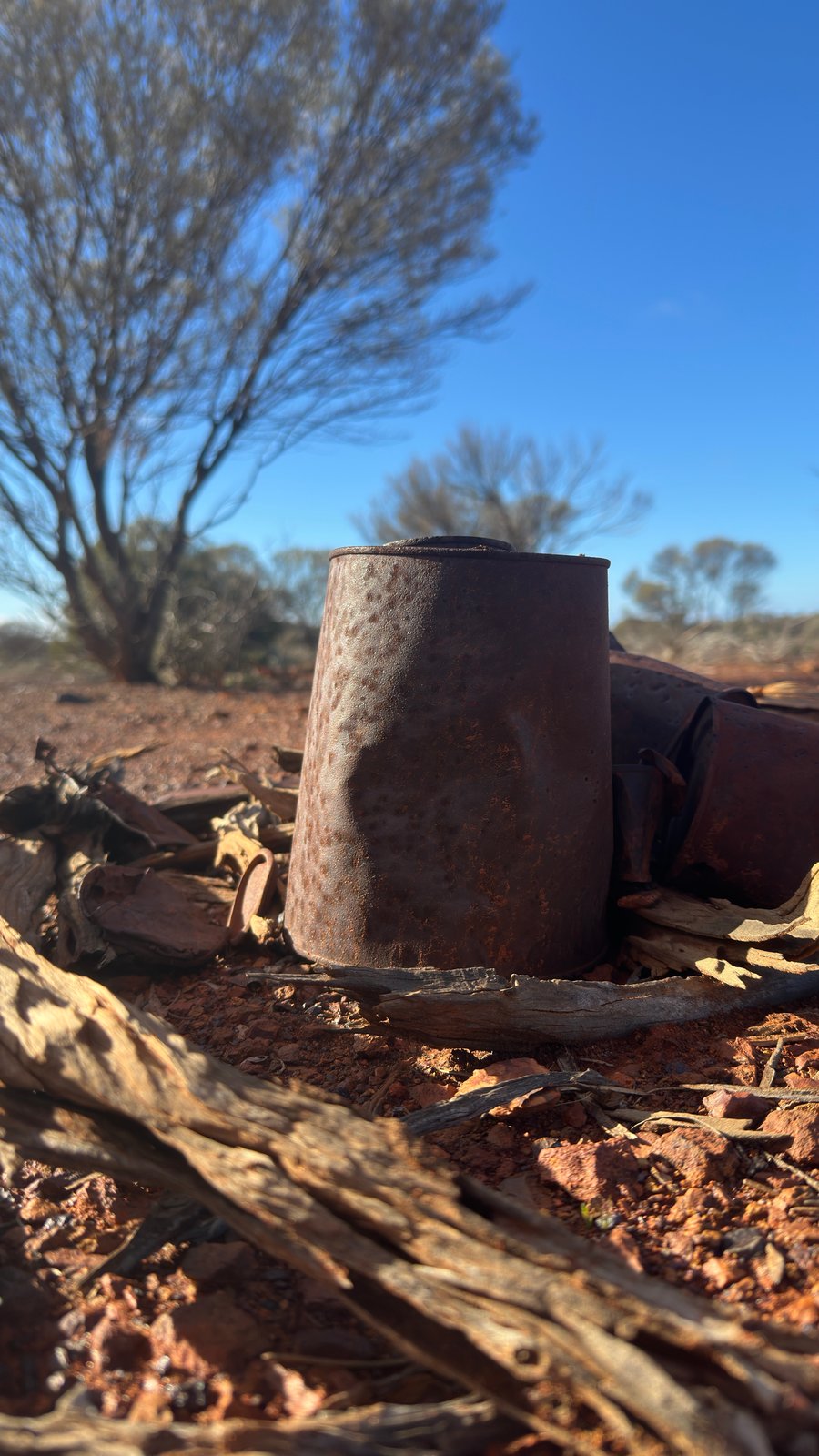 Close-up of an old rusted tin among dead timber on red ground, with a tree and blue sky behind.