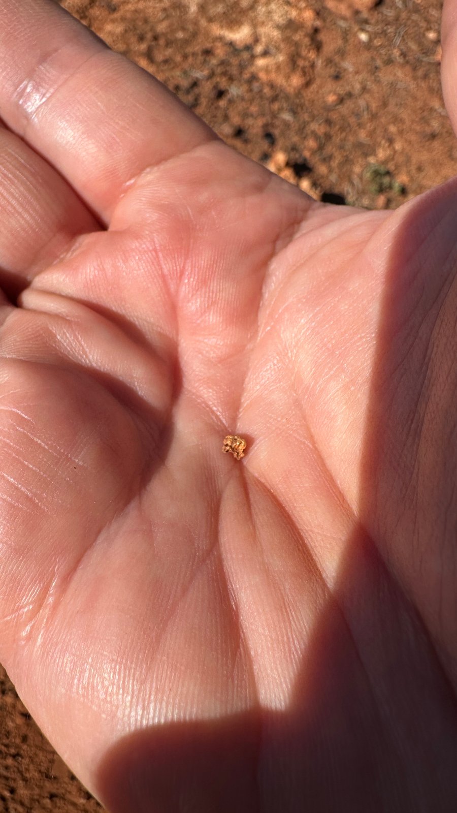 A tiny gold nugget, barely bigger than a pinhead, in the palm of a hand.